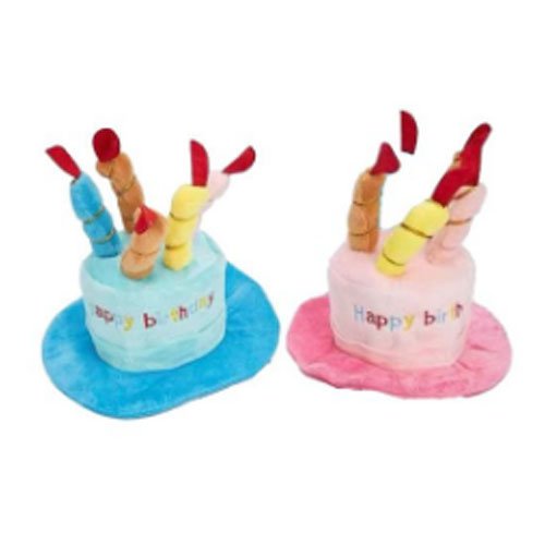 SOMBRERO DE CUMPLEAÑOS por mayor - Mascotas por mayor